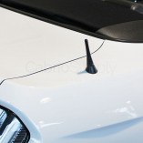 Short antenna The Stubby Ford Mustang VII